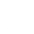 Neuroplasticity